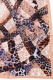 LEO VENTONI 13-32704